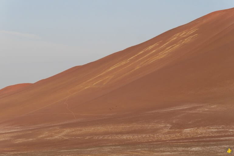 Paracas résevr Pérou voyage en famille