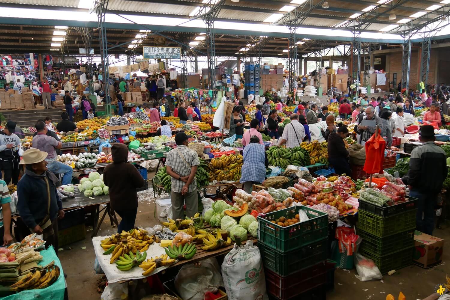 Visite du marché de Silvia en famille plus beaux village colombiens