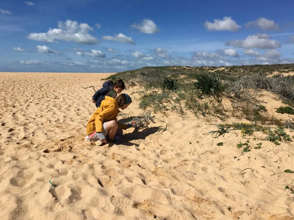 Armacao Vacances Sud Portugal Algarve famille avec enfant