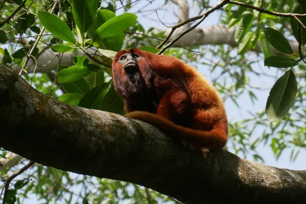 Parc Tayrona en famille | Blog VOYAGES ET ENFANTS