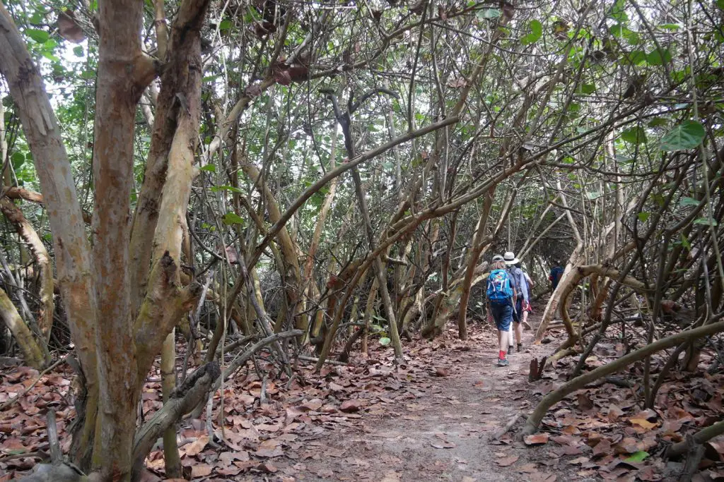 Parc Tayrona en famille | Blog VOYAGES ET ENFANTS