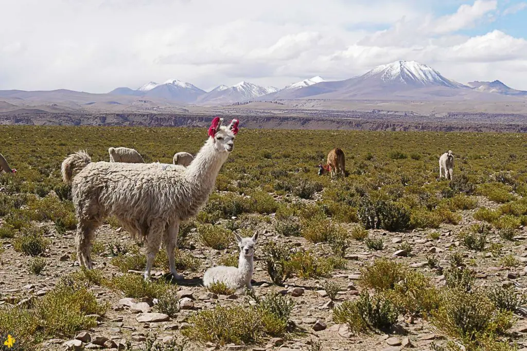 Bilan voyage en famille tour du monde | Blog VOYAGES ET ENFANTS