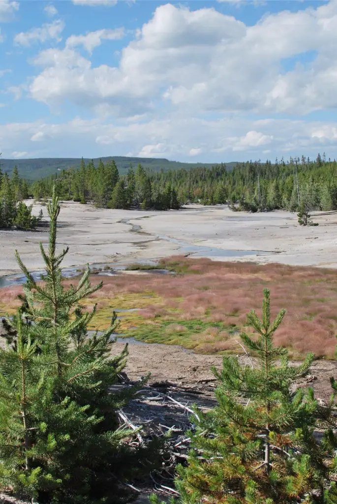 Wyoming en famille 10 jours aux parcs Grand Téton Yellostowne | Blog VOYAGES ET ENFANTS