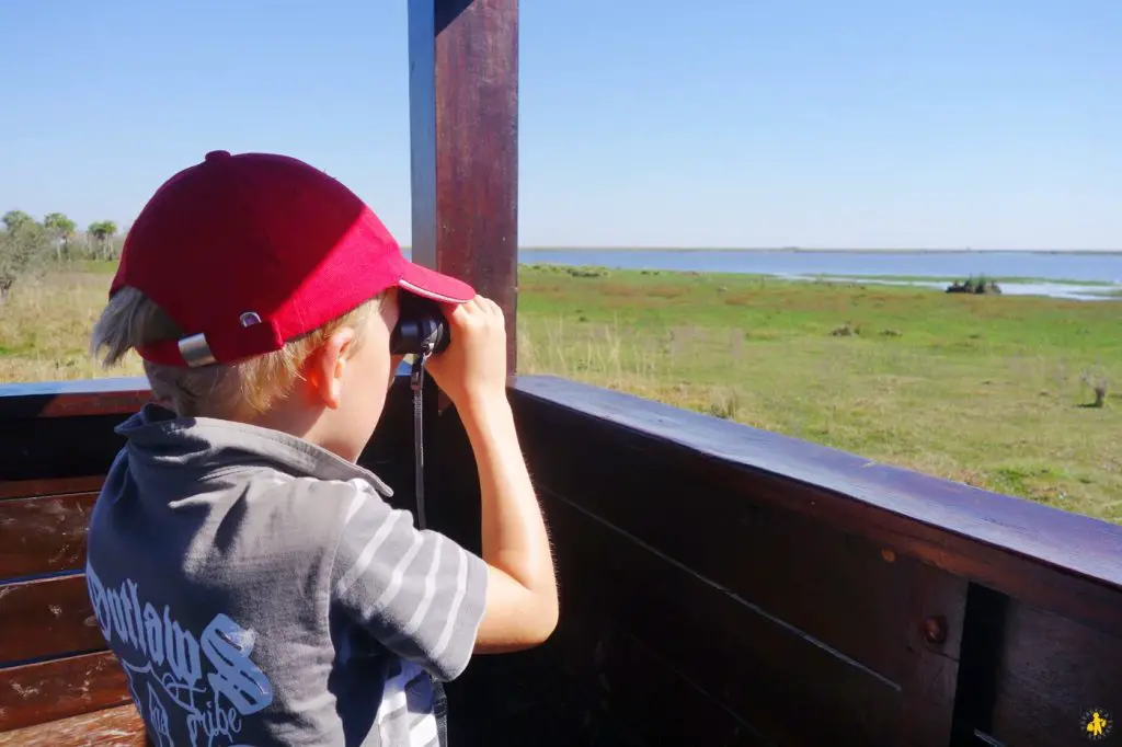 Animaux en Argentine où observer la faune en famille | Blog VOYAGES ET ENFANTS