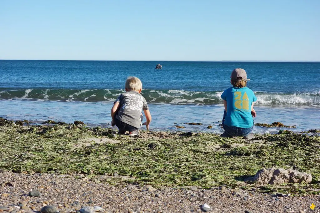 Animaux en Argentine où observer la faune en famille | Blog VOYAGES ET ENFANTS