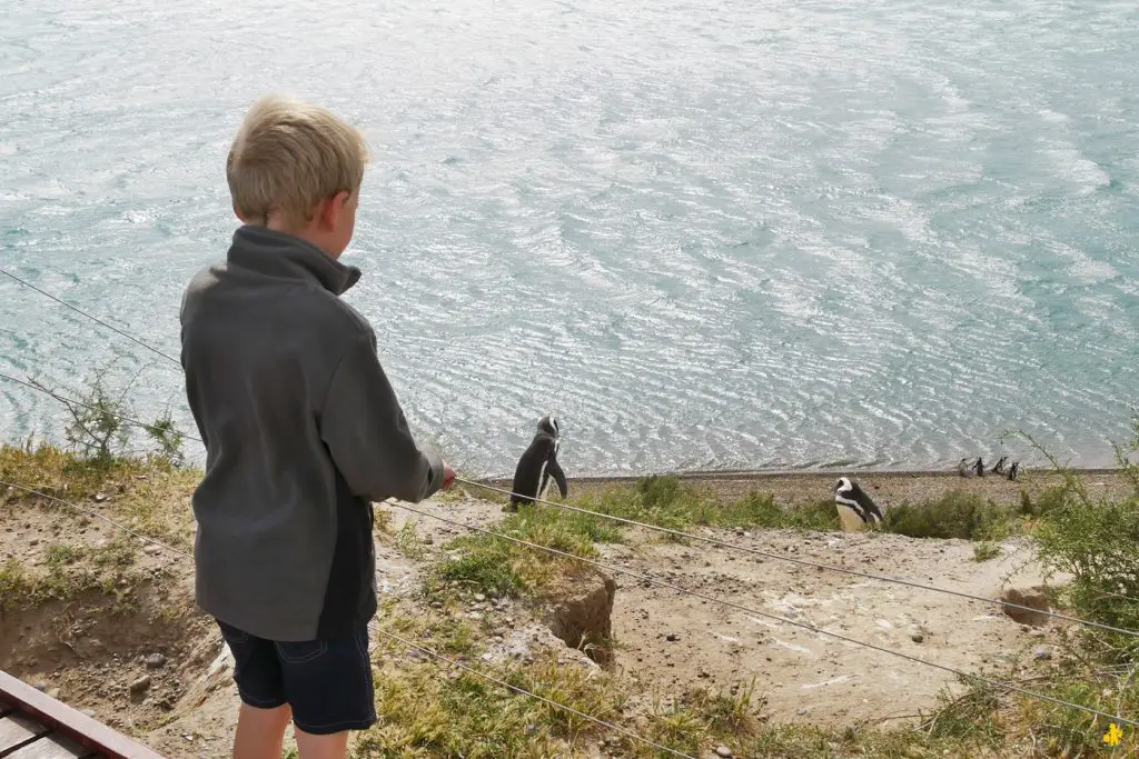 Animaux en Argentine où observer la faune en famille | Blog VOYAGES ET ENFANTS