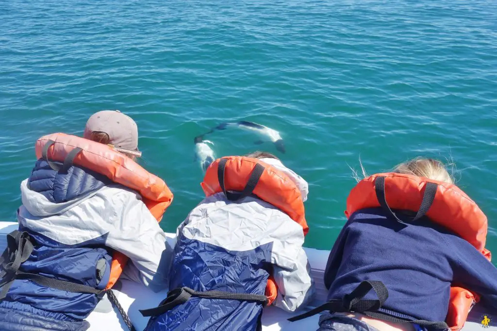 Animaux en Argentine où observer la faune en famille | Blog VOYAGES ET ENFANTS