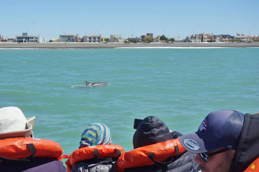 Animaux en Argentine où observer la faune en famille | Blog VOYAGES ET ENFANTS