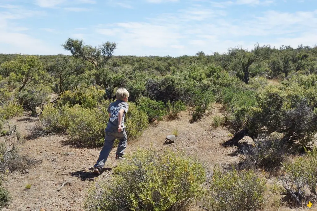 Animaux en Argentine où observer la faune en famille | Blog VOYAGES ET ENFANTS