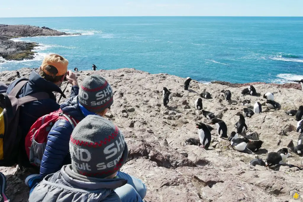 Animaux en Argentine où observer la faune en famille | Blog VOYAGES ET ENFANTS