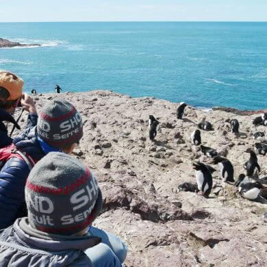 Où voir des animaux en Argentine ?