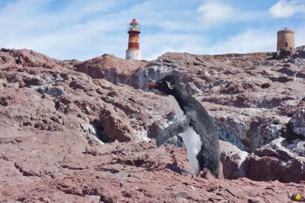 Animaux en Argentine où observer la faune en famille | Blog VOYAGES ET ENFANTS