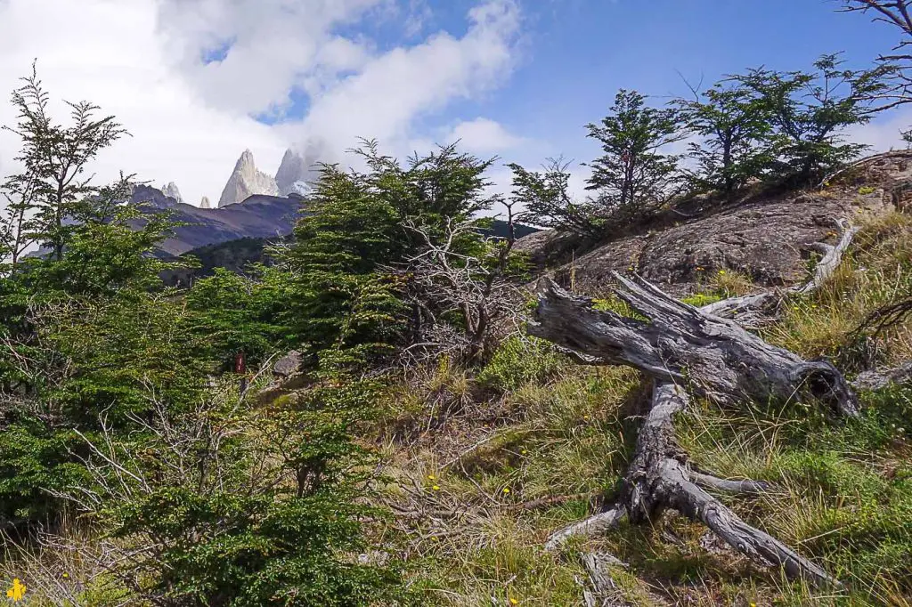 El Chalten Fitz Roy Randonnées en Patagonie en famille | Blog VOYAGES ET ENFANTS