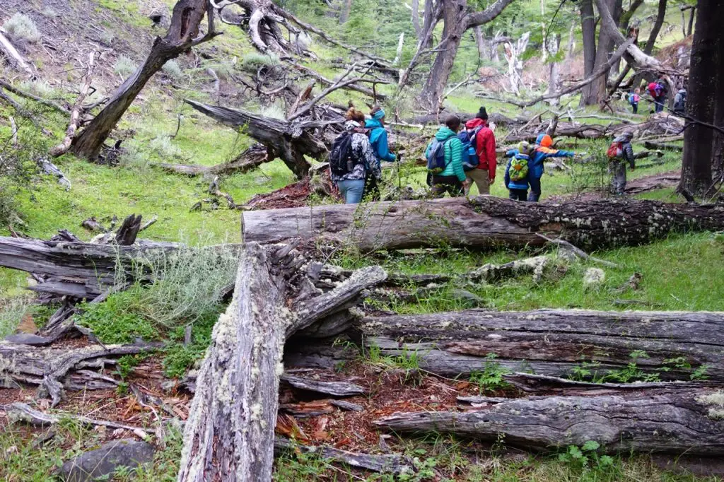 El Chalten Fitz Roy Randonnées en Patagonie en famille | Blog VOYAGES ET ENFANTS