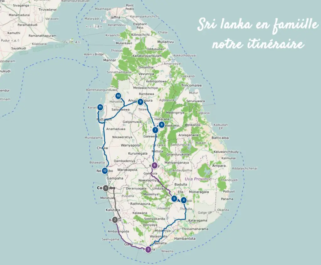 Voyage au Sri Lanka en famille itinéraire 3 semaines