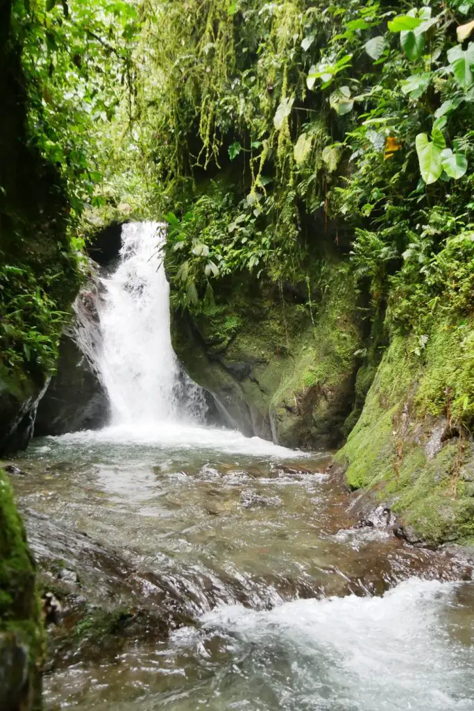 Equateur en famille que faire que voir VOYAGES ET ENFANTS