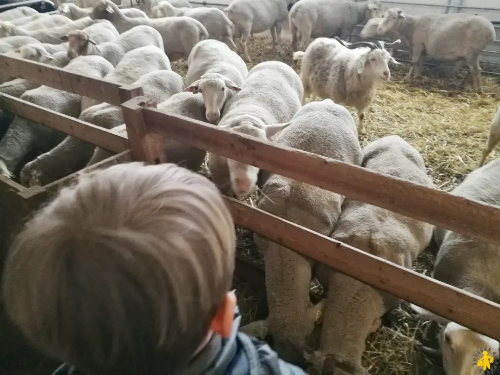 Briançon activité famille autour de la laine | Blog VOYAGES ET ENFANTS