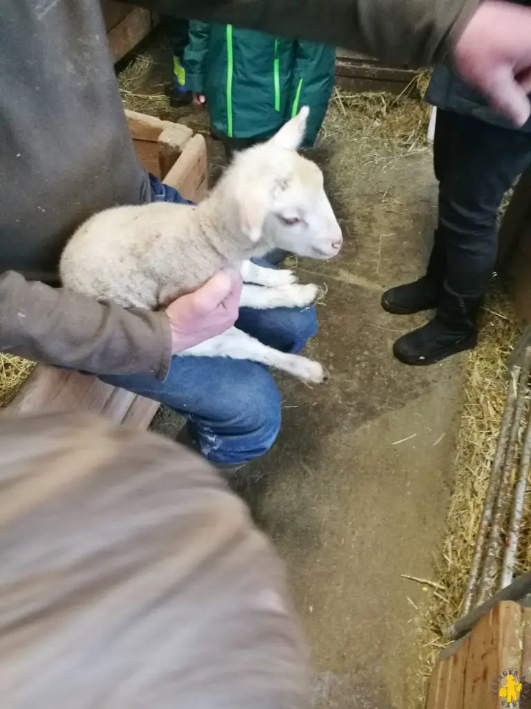 Briançon activité famille autour de la laine | Blog VOYAGES ET ENFANTS