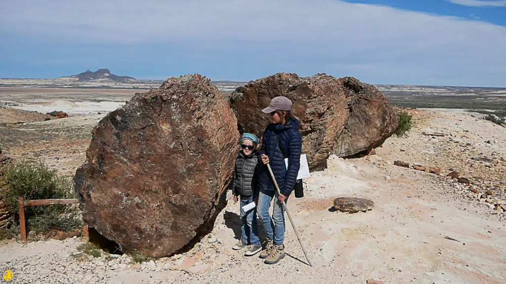 Argentine voyage en famille visite Bosquet Jaramillo Road trip Argentine en famille itinéraire budget voyage 4x4 | Blog VOYAGES ET ENFANTS