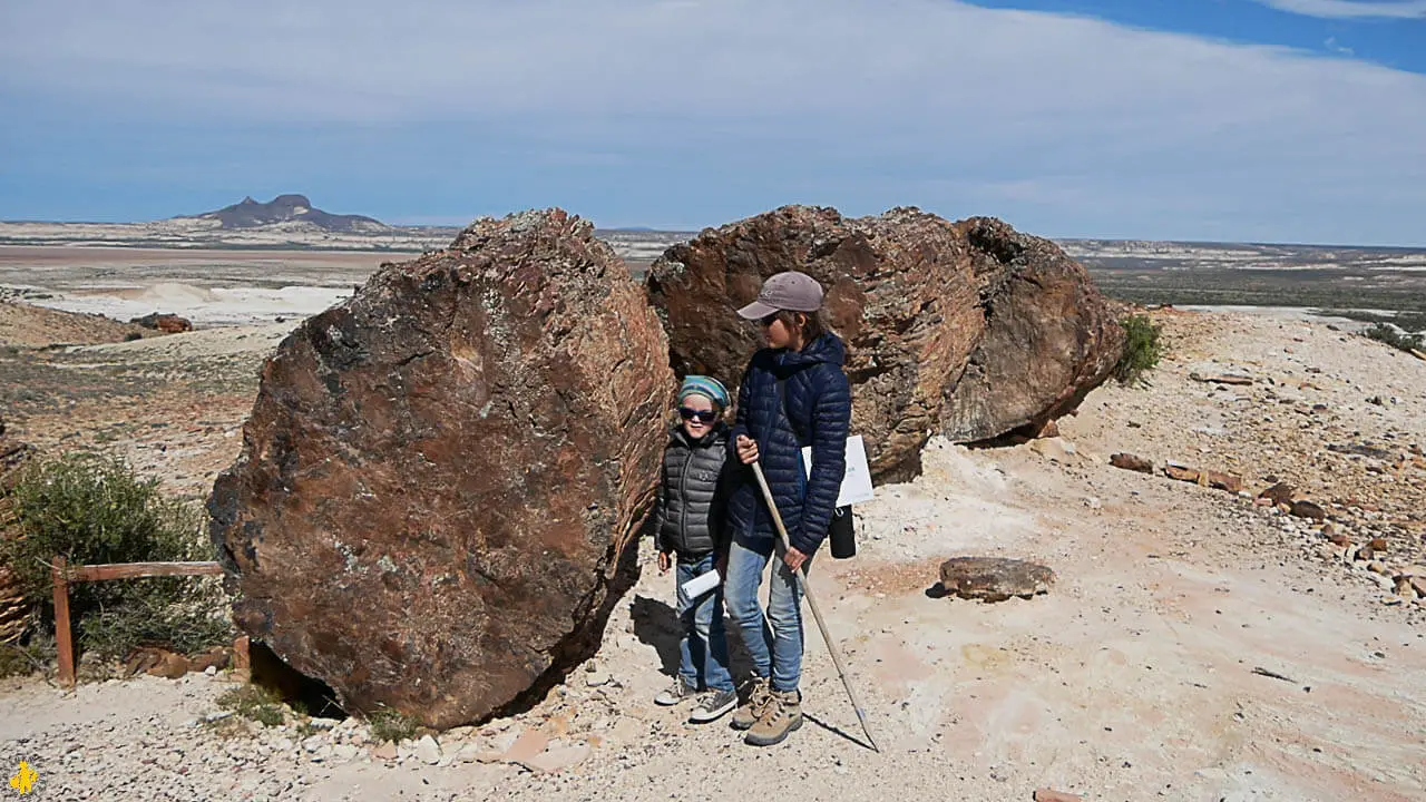 Argentine voyage en famille visite Bosquet Jaramillo