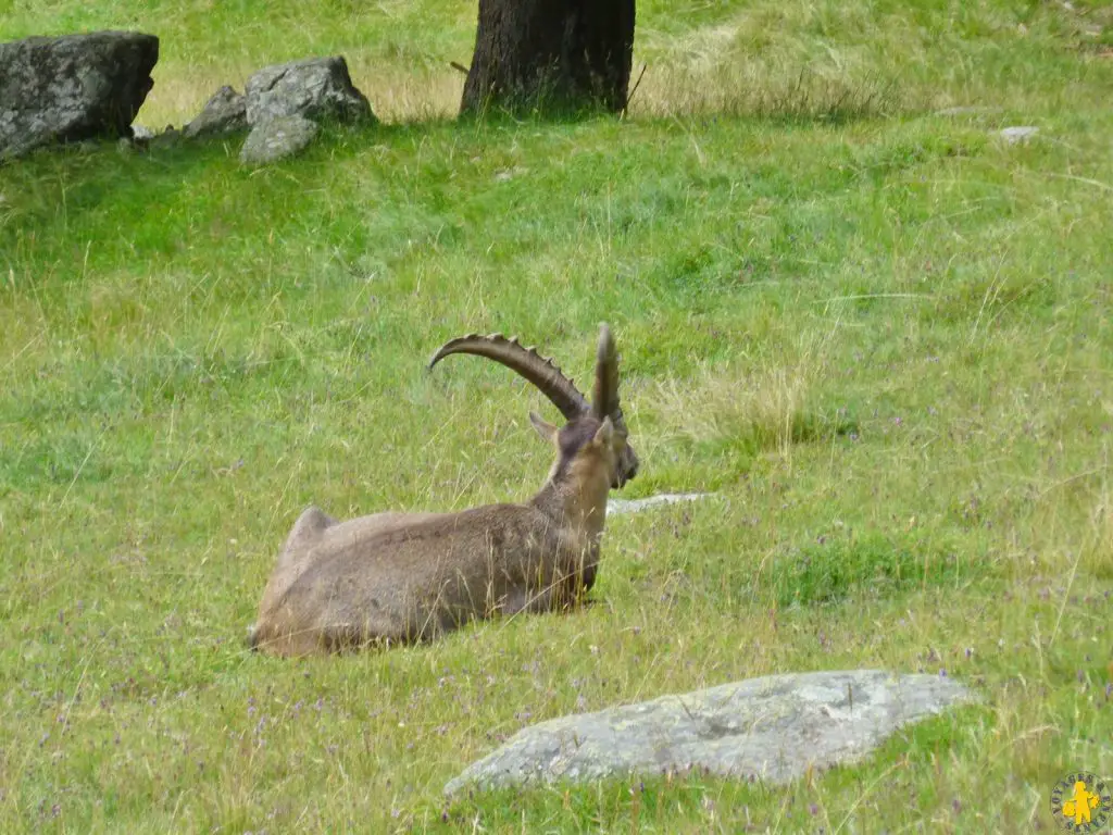 Vallée de Chamonix le parc Merlet en famille | Blog VOYAGES ET ENFANTS