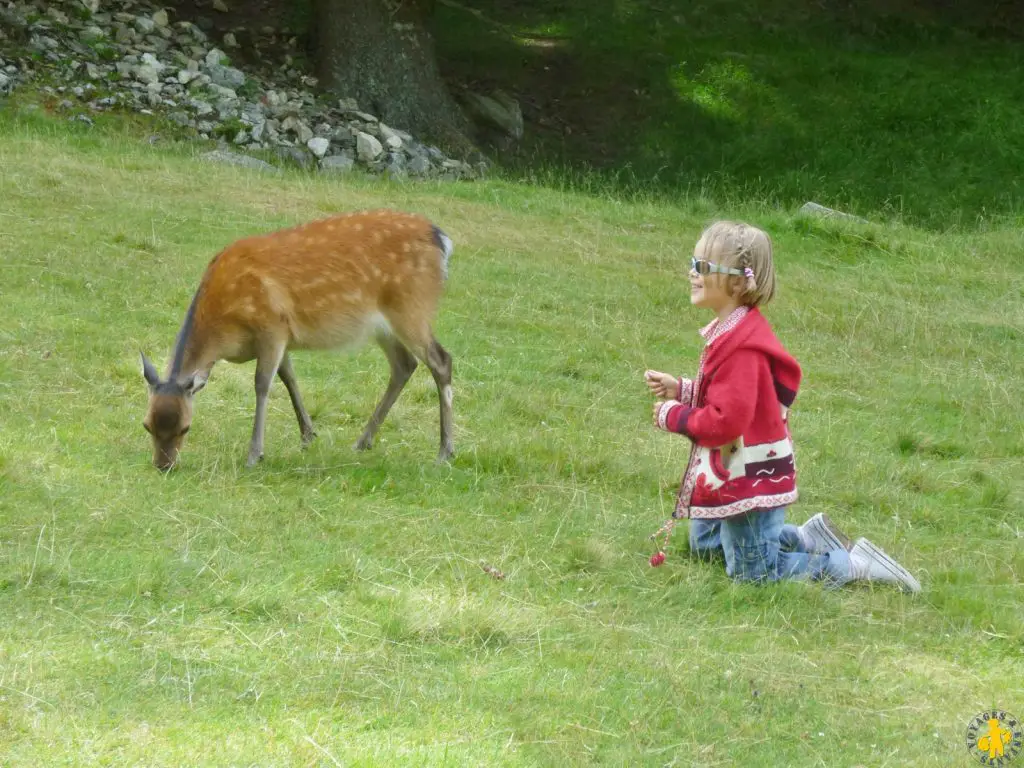 Vallée de Chamonix le parc Merlet en famille | Blog VOYAGES ET ENFANTS