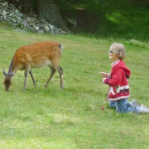Vallée de Chamonix le parc Merlet en famille | Blog VOYAGES ET ENFANTS