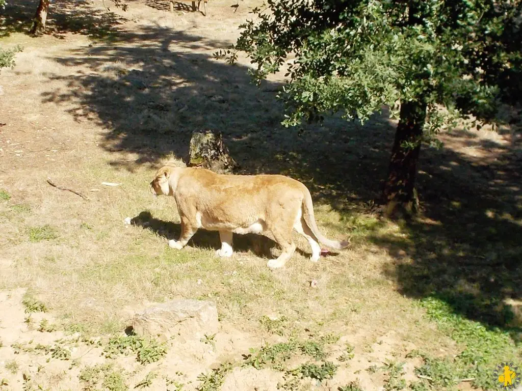 15 sorties famille en Drome Ardeche | Blog VOYAGES ET ENFANTS