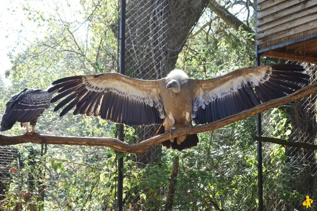 Upie activité famille 15 sorties famille en Drome Ardeche | Blog VOYAGES ET ENFANTS