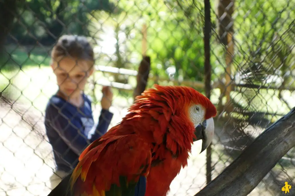 Parc des oiseaux Upie Drome 15 sorties famille en Drome Ardeche | Blog VOYAGES ET ENFANTS