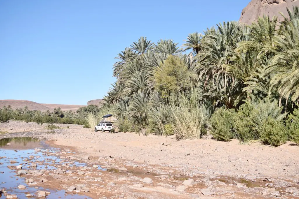 Oasis fint Bivouac Maroc avec enfant en 4x4 Road trip Maroc en 4x4 en famille et tente de toit |