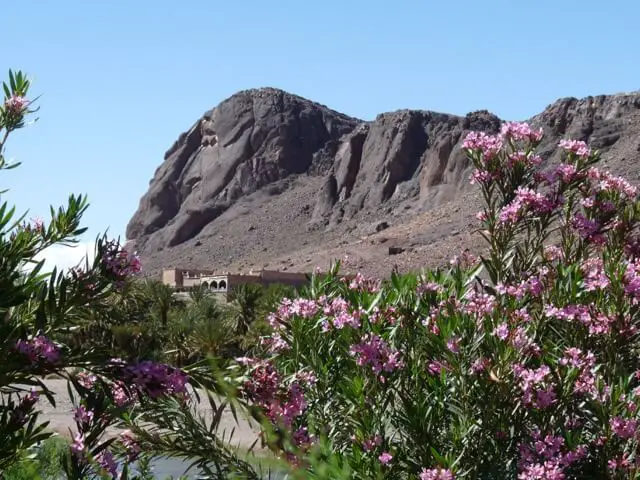 voyage au maroc en famille