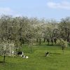 Visite de Guédelon en famille | Blog VOYAGES ET ENFANTS