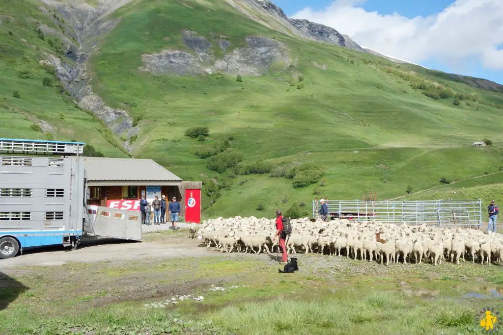 Vacances en montagne en famille en été pourquoi et où aller | Blog VOYAGES ET ENFANTS