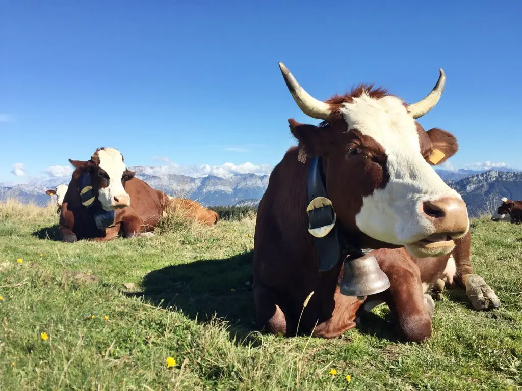 Visiter Annecy en famille en 15 idées | VOYAGES ET ENFANTS