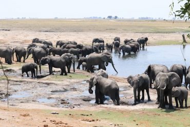 liste de voyage sud avec enfant