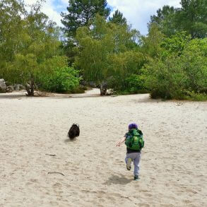 Visite de Fontainebleau en famille entre château et forêt | Blog VOYAGES ET ENFANTS