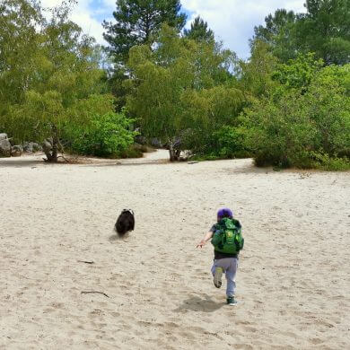 Fontainebleau en famille: château et forêt