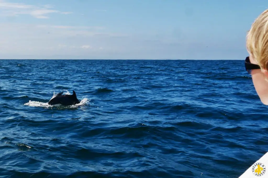 Isla de la plata en famille et Puerto Lopez côte Equateur | Blog VOYAGES ET ENFANTS