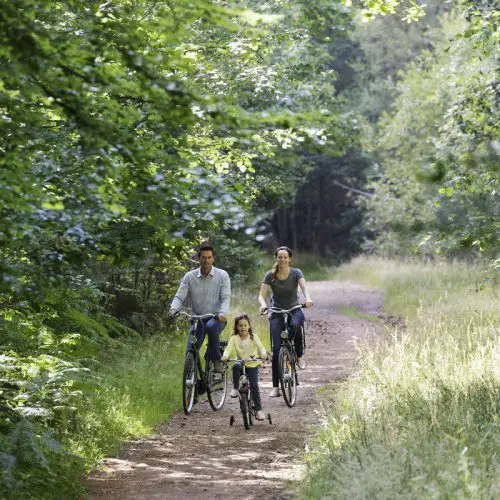 Center Parcs à lautomne 9 conseils pour profiter | Blog VOYAGES ET ENFANTS