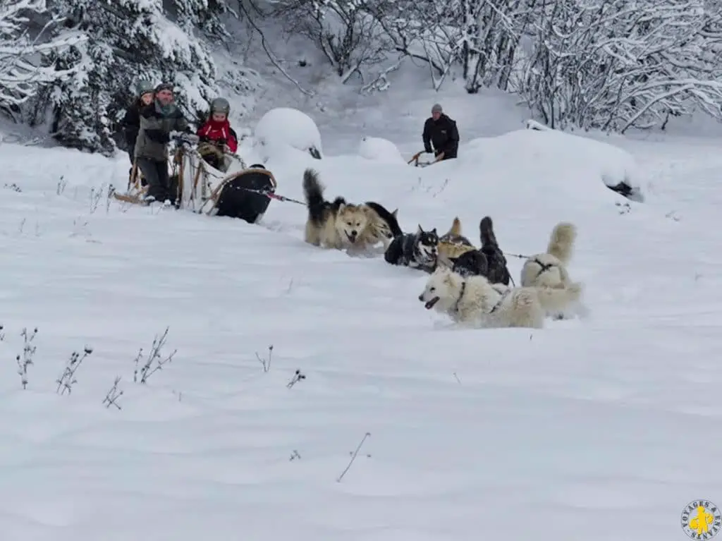 Que faire à la montagne sans skier chien de traineau mushing Neige en famille19 activités sans skier VOYAGES ET ENFANTS