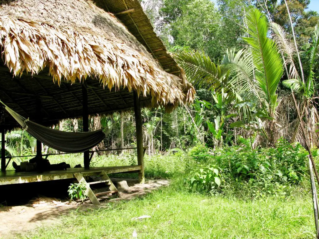 Cabane Amazonie ou dormir Où aller en Amazonie en famille ou pas | VOYAGES ET ENFANTS