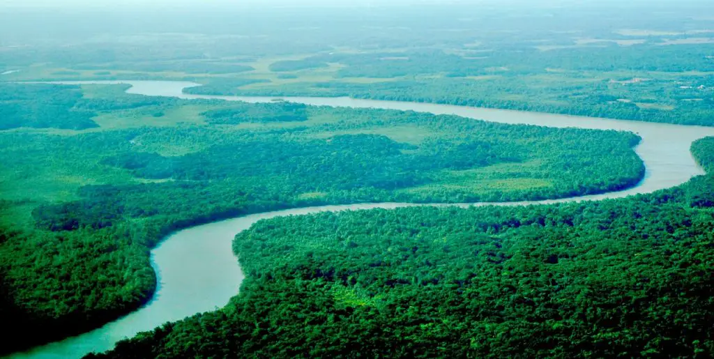 Fleuve Amazonie en Guyane Où aller en Amazonie en famille ou pas | VOYAGES ET ENFANTS
