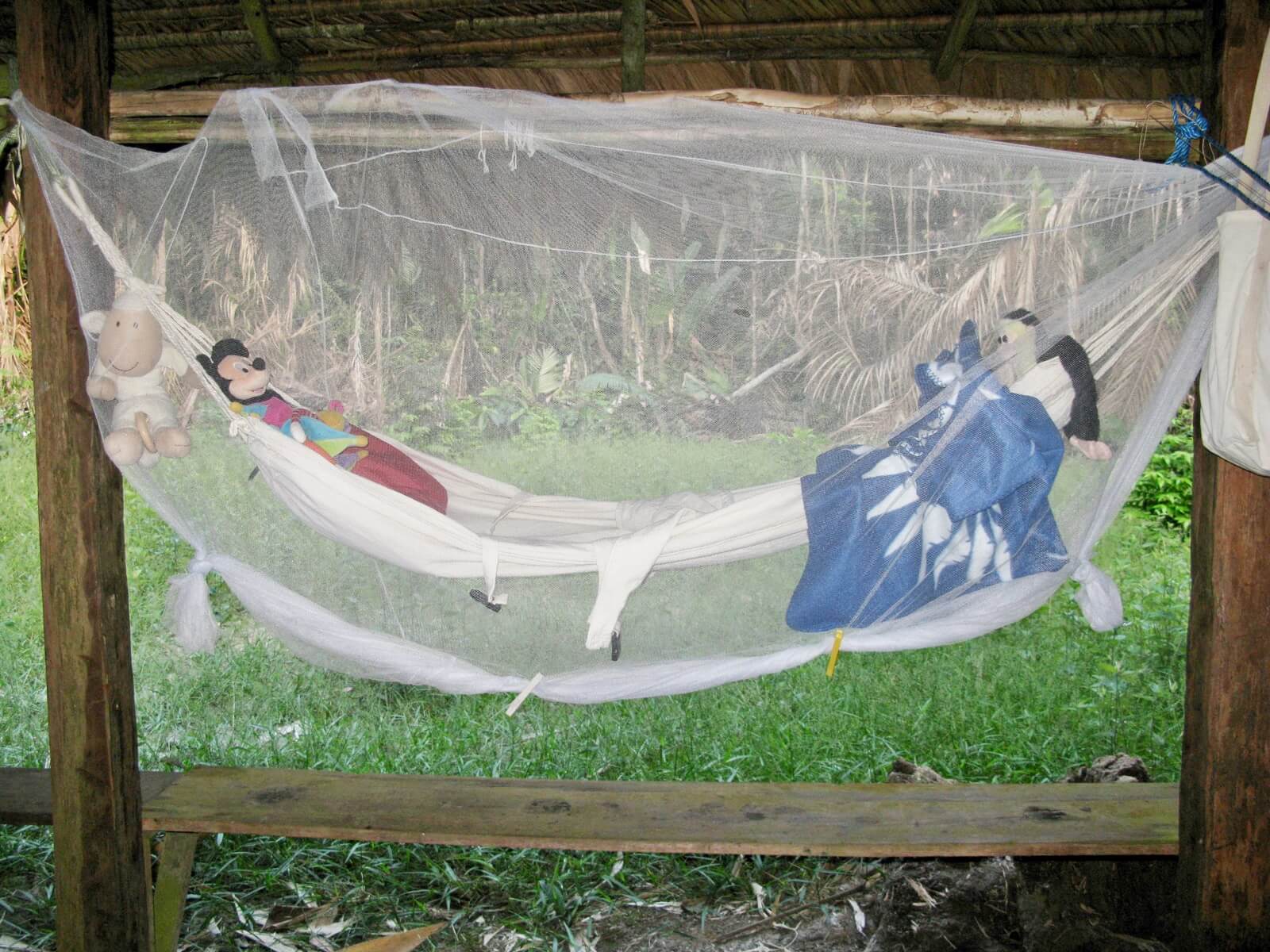 O Aller En Amazonie En Famille Ou Pas VOYAGES ET ENFANTS