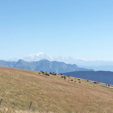 Plateau de Semnoz vue bauges week-end en famille