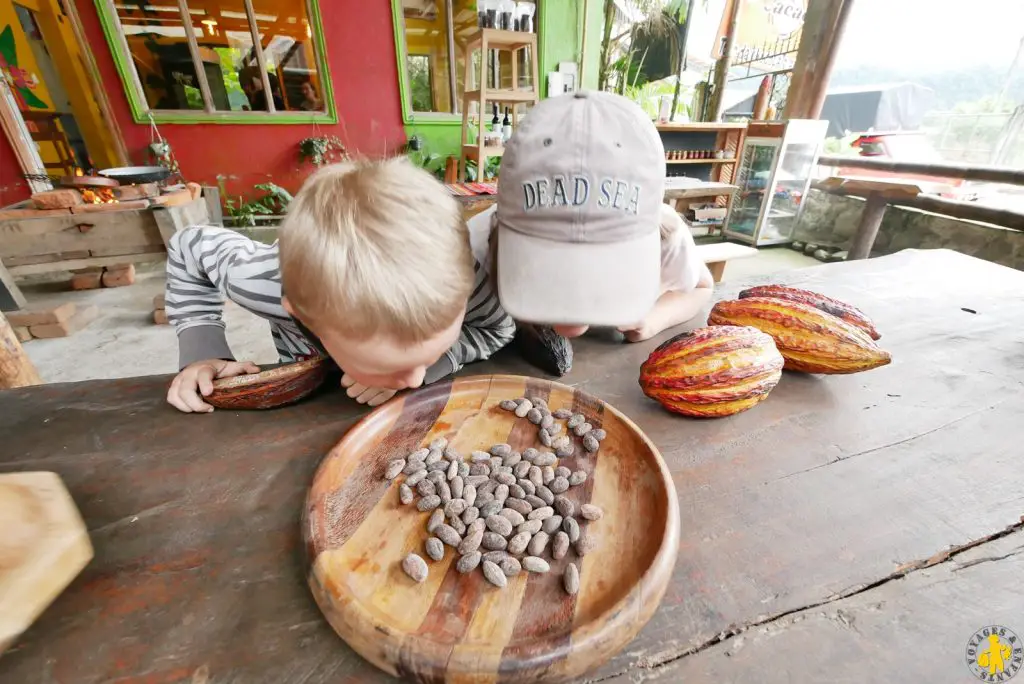 Cacao à Minod Equateur Nord Équateur Mindo Mitad del Mundo Otavalo en famille | Blog VOYAGES ET ENFANTS