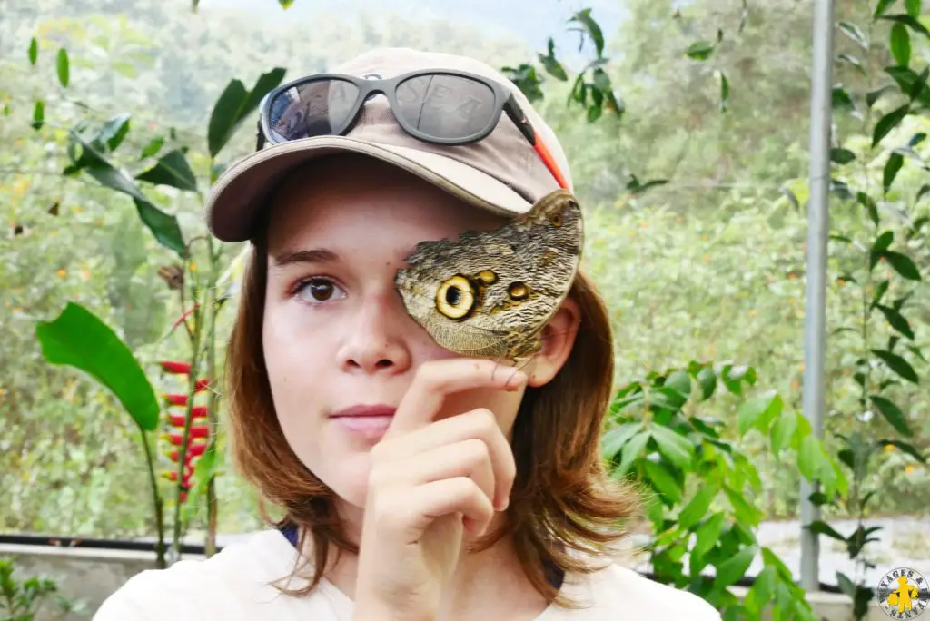 Papillon de Mindo Nord Équateur Mindo Mitad del Mundo Otavalo en famille | Blog VOYAGES ET ENFANTS