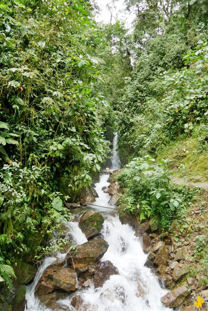 Sentier cascade Mindo Equateur voyage en famille Nord Équateur Mindo Mitad del Mundo Otavalo en famille | Blog VOYAGES ET ENFANTS
