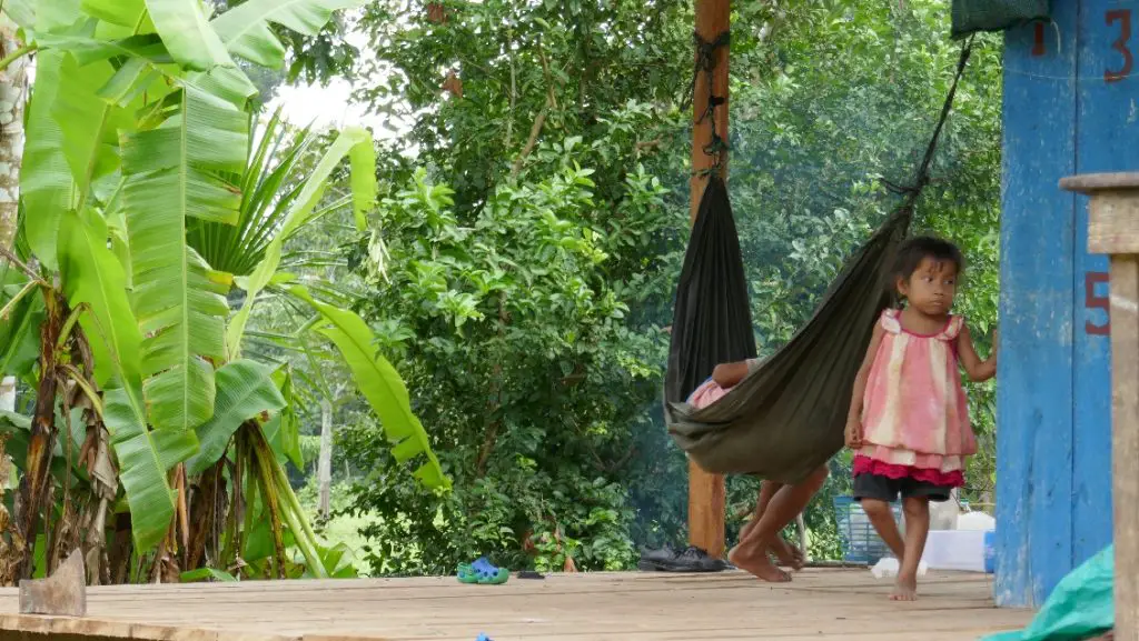 Logement Amazonie en Equateur Où aller en Amazonie en famille ou pas | VOYAGES ET ENFANTS