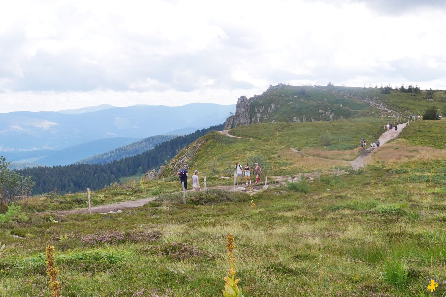 Itinéraire Route des Crêtes 2 jours Vosges en famille